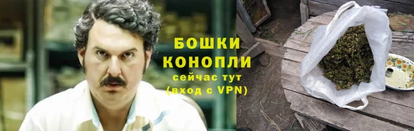 ГАЛЛЮЦИНОГЕННЫЕ ГРИБЫ Инта