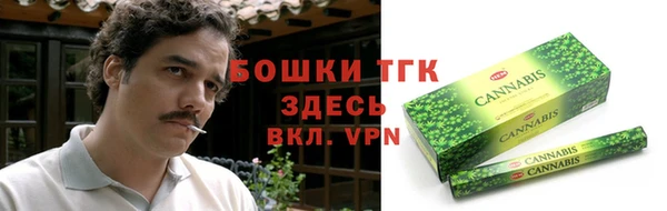 ГАЛЛЮЦИНОГЕННЫЕ ГРИБЫ Инта