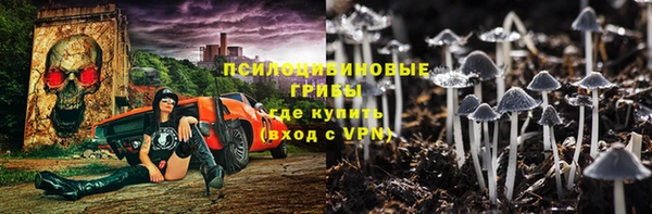 крисы Зерноград