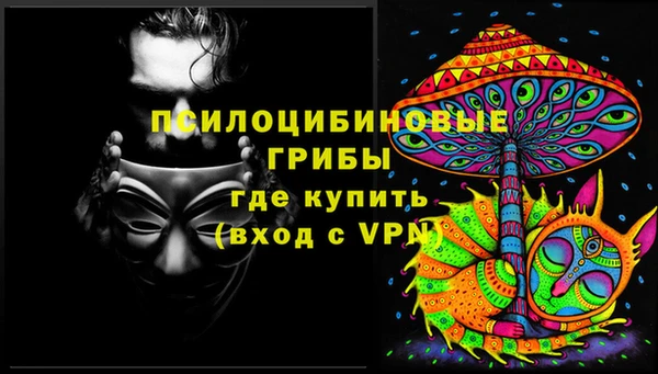 крисы Зерноград