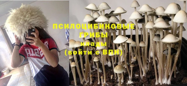 крисы Зерноград