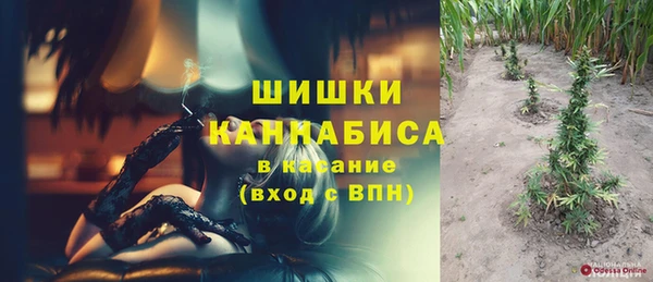 первитин Инсар