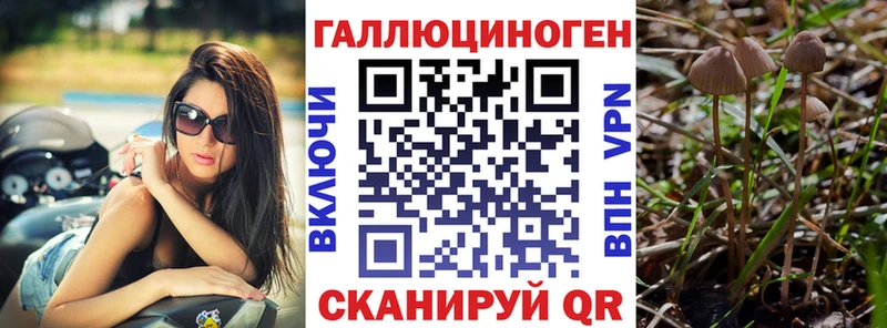 Галлюциногенные грибы Magic Shrooms  как найти наркотики  сайты даркнета состав  Катав-Ивановск 